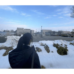 momo_20260212211659