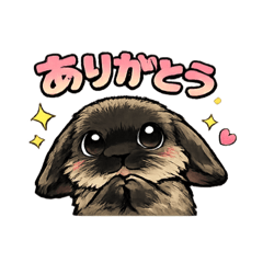 karatenn_20260212214908