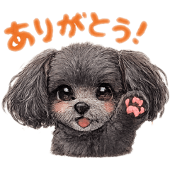 Minoru Saito_20260212215427