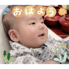 miya_20260213145803