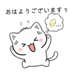 MOMOYAMA_20260212211033