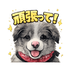 Ameru_20260212210251