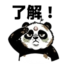 Bear's_20260212211507