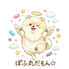 毛茸茸的波夫丸：可愛的天使小狗