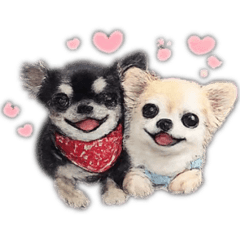 Miruku.moca_20260212225728