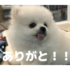 yuito_20260212231146