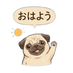kemu Pug