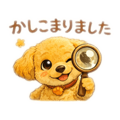 Sirius_20260213000405