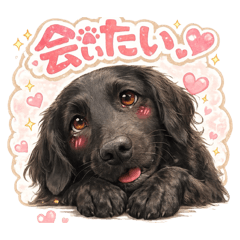 suzu_20260213000452