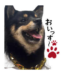 Sukemaru_20260212235829