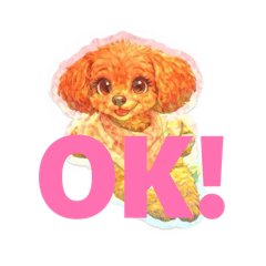 Chocolat_20260213001552