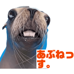 HiROKi_20260213064531