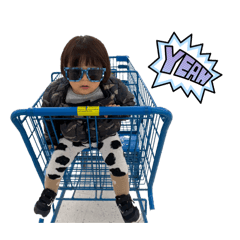 reeko_20260213170807