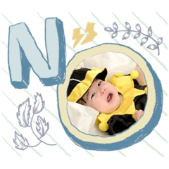momo_20260213171024