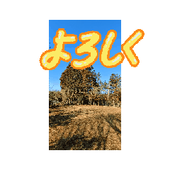 Tomosan2026212_20260213153654