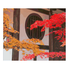 Satomiislands20260213