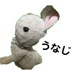 usagi_20260211042914