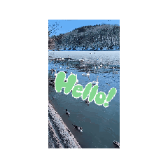 towatowa_20260213153615