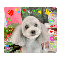 kagarin_20260213153742