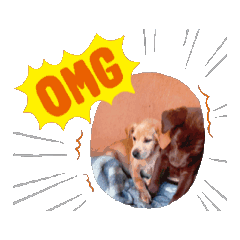 Miiimii DoG 'Naughty_20260213150301