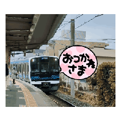 hirame77cm_20260213153615