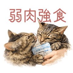 fuzimi_20260211073847