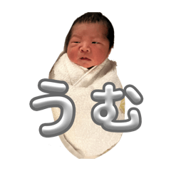 gyunyudaisukki_20260213181949