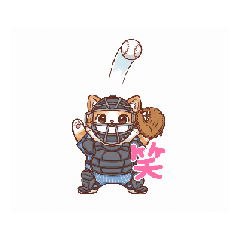 sugar_20260213204902