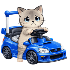 colin_20260213183905