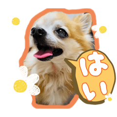 kirupajyama_20260213110237