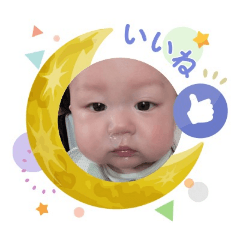 rikumama_20260213152832