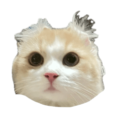 Satou_20260213213756