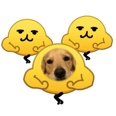 kaeru_20260213121807