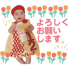 MARIMO_20260213213832