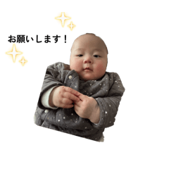 haruka_20260213154709