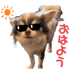 kana_20260213121641