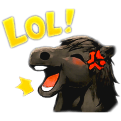 karin_20260213194613