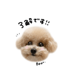 ベアちゃん♡モノクロmix