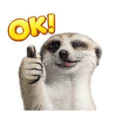 Guilty_20260213181521