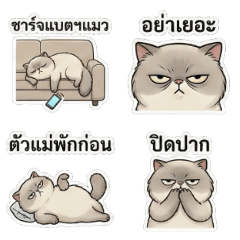 Khamun The Sarcastic FlatFaced Lazy