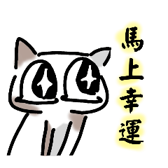 瑪啾貓的祝福