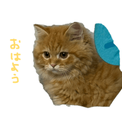 MAKOTO_20260213143100