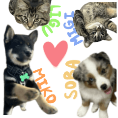 米糕 Soba 哩咕 咪幾 刀刀 尼歐