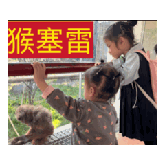 猴塞雷～湯圓生活日常大小事。