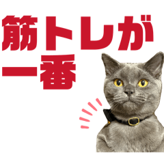 Ogu fam._20260213193400