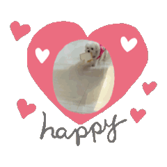 5Happy Dog
