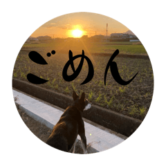 iroha_20260213215344