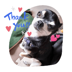 acchan_20260213214852