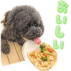 食いしん坊クッキーのわくわく行事録♪