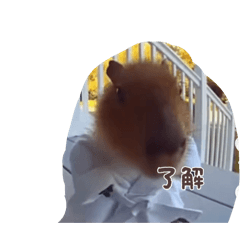 hibiki_20260211122339